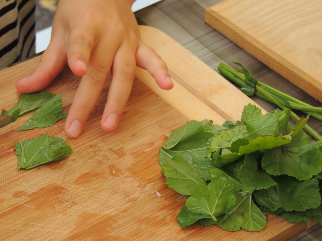Les Écogastronomes, atelier alimentation responsable pour enfants
